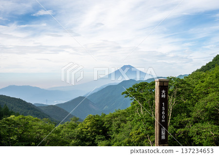 夏季從大峠峠眺望富士山 夏季從大峠峠眺望富士山 137234653