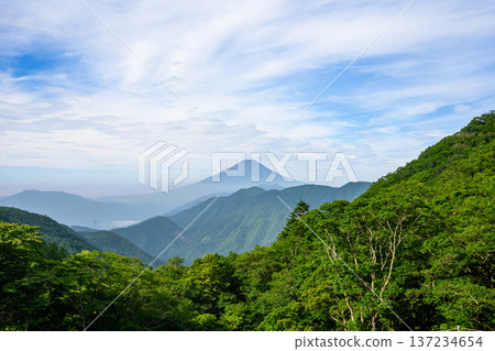 View of Mt. Fuji in summer from O-Toge Pass 137234654