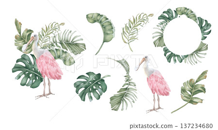 Watercolor set of roseate spoonbill bird, tropical palm leaf, monstera, and banana leaf elements isolated on white. Exotic fauna and flora collection hand drawn for design. Jungle plants clipart. 137234680