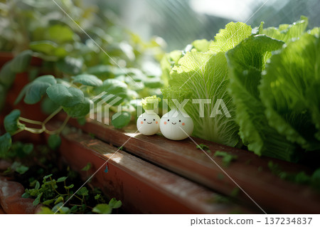 白菜、大白菜和洋蔥的溫柔蔬菜生活(蔬菜君系列) 白菜、大白菜和洋蔥的溫柔蔬菜生活(蔬菜君系列) 137234837