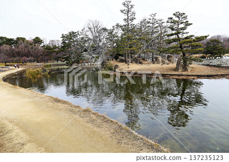 Winter scenery of Nagai Park, floating islands in the large pond and the quiet waterway Winter scenery of Nagai Park, floating islands in the large pond and the quiet waterway 137235123