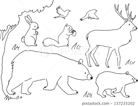 Cute hand-drawn animal line drawing illustration set Cute hand-drawn animal line drawing illustration set 137235202