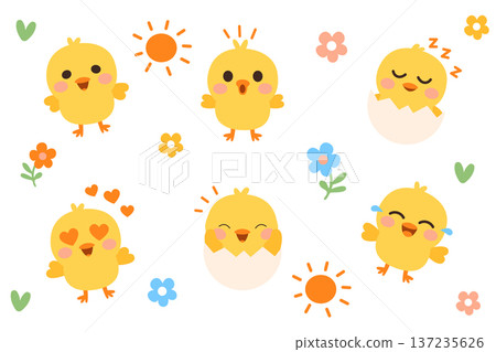 Cute Easter chick characters emoji set in flat vector style Adorable baby chicks illustration for Easter spring design Cute yellow chicks with emotions flat vector illustration 137235626