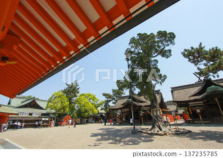大阪府住吉大社 137235785
