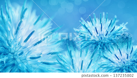 Floral background. Purple thorny thistle flower. Closeup. Nature. Floral background. Purple thorny thistle flower. Closeup. Nature. 137235802