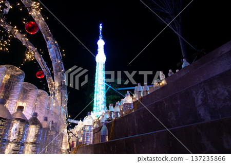 Christmas illuminations made from plastic bottles Christmas illuminations made from plastic bottles 137235866