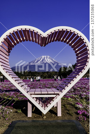 山梨縣富士芝櫻節 芝櫻和富士山 137235868