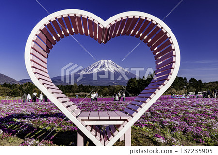 山梨縣富士芝櫻節 芝櫻和富士山 137235905