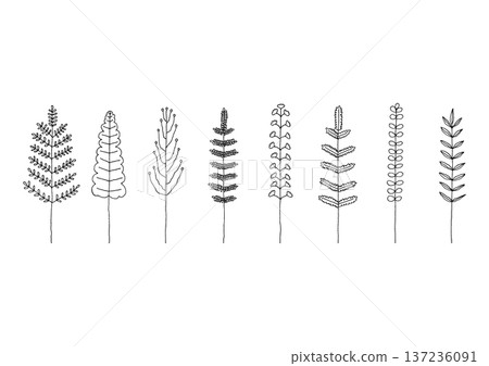 Hand-drawn line drawing illustration set 2 (black) of plants such as ferns and cycads Hand-drawn line drawing illustration set 2 (black) of plants such as ferns and cycads 137236091