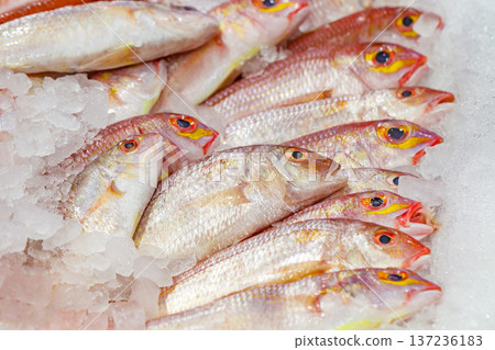 Fresh raw fish chilled on ice, selective focus  137236183