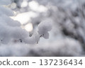 Snow-covered winter branches ② 137236434