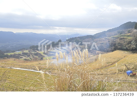 Winter rice terraces in Mt. Take, a tranquil rural landscape with smoke rising from the fields, Arita Town, Saga Prefecture Winter rice terraces in Mt. Take, a tranquil rural landscape with smoke rising from the fields, Arita Town, Saga Prefecture 137236439