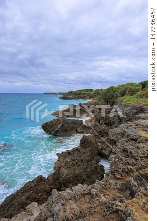 Tropical coast Tropical coast 137236452