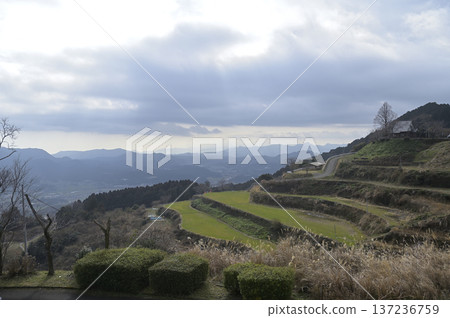 冬季的竹山梯田景色，竹山梯田是日本100個最美梯田之一。 137236759
