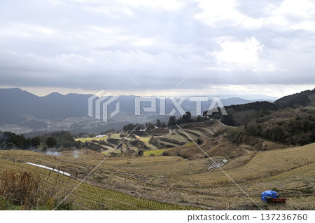 武山冬梯田，陽光穿透雲層，田間焚燒的煙霧繚繞。佐賀縣有田町。 137236760