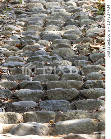 Stone steps on a mountain path Stone steps on a mountain path 137237434