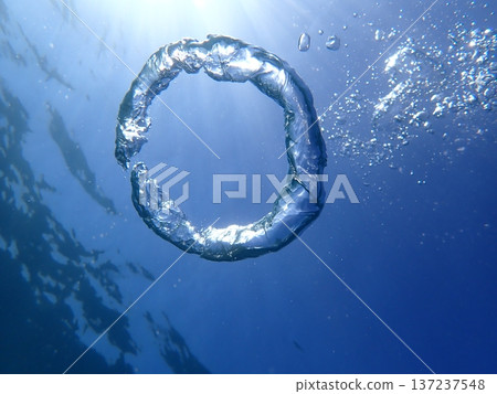 Underwater Ring Underwater Ring 137237548