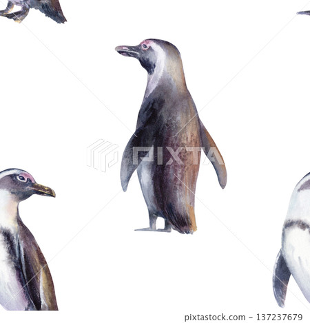 African Jackass Penguin in seamless pattern,Endangered Spectacled Bird of South African and Namibian Coastlines.Hand drawn watercolor illustration,call to preserve an endangered species African Jackass Penguin in seamless pattern,Endangered Spectacled Bird of South African and Namibian Coastlines.Hand drawn watercolor illustration,call to preserve an endangered species 137237679