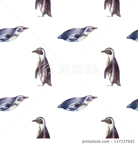 African Jackass Penguin in seamless pattern,Endangered Spectacled Bird of South African and Namibian Coastlines.Hand drawn watercolor illustration,call to preserve an endangered species African Jackass Penguin in seamless pattern,Endangered Spectacled Bird of South African and Namibian Coastlines.Hand drawn watercolor illustration,call to preserve an endangered species 137237681