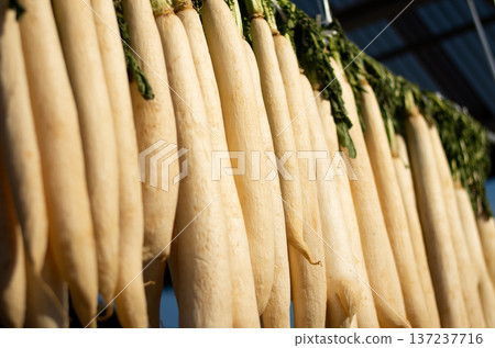 Dried radish Dried radish 137237716
