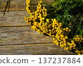 Phytotherapy concept: Tanacetum herbal medicine presented on a natural wood backdrop with copy space available. 137237884