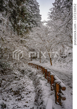雪（高尾山路線1） 137238052