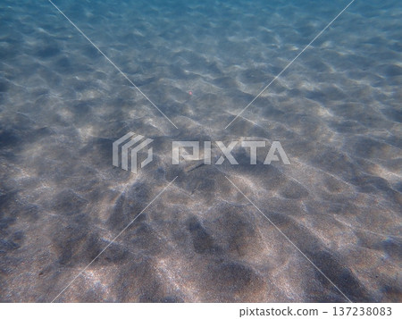 在沙灘上的影子 在沙灘上的影子 137238083