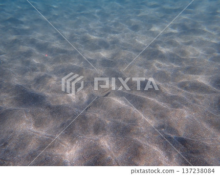In the sea In the sea 137238084