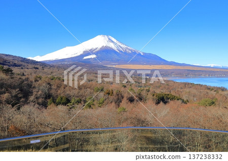 從山中湖明神山觀景台遠眺白雪皚皚的富士山 從山中湖明神山觀景台遠眺白雪皚皚的富士山 137238332