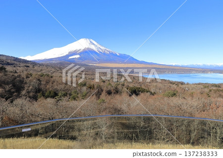 從山中湖明神山觀景台遠眺白雪皚皚的富士山 從山中湖明神山觀景台遠眺白雪皚皚的富士山 137238333