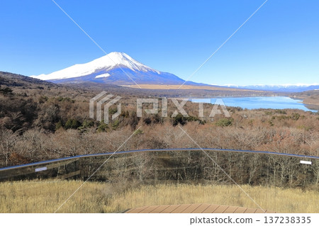 Snow-capped Mount Fuji as seen from Lake Yamanaka's Myojinyama Panorama Deck Snow-capped Mount Fuji as seen from Lake Yamanaka's Myojinyama Panorama Deck 137238335