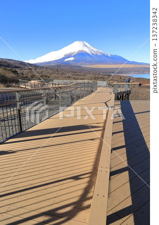 從山中湖明神山觀景台遠眺白雪皚皚的富士山 從山中湖明神山觀景台遠眺白雪皚皚的富士山 137238342