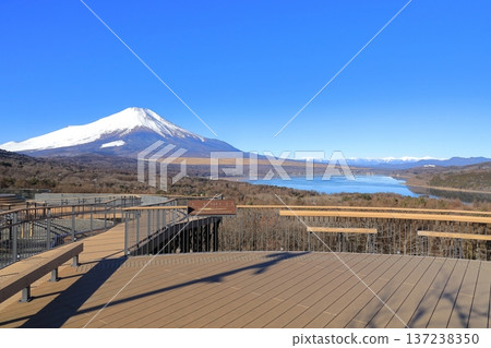 從山中湖明神山觀景台遠眺白雪皚皚的富士山 從山中湖明神山觀景台遠眺白雪皚皚的富士山 137238350