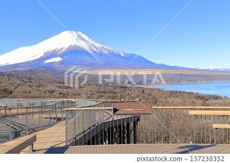 從山中湖明神山觀景台遠眺白雪皚皚的富士山 從山中湖明神山觀景台遠眺白雪皚皚的富士山 137238352