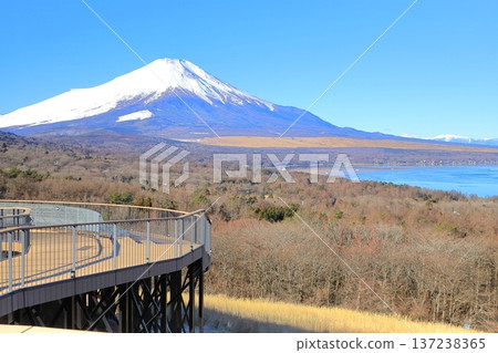 從山中湖明神山觀景台遠眺白雪皚皚的富士山 從山中湖明神山觀景台遠眺白雪皚皚的富士山 137238365