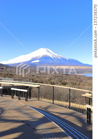 從山中湖明神山觀景台遠眺白雪皚皚的富士山 從山中湖明神山觀景台遠眺白雪皚皚的富士山 137238370