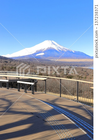從山中湖明神山觀景台遠眺白雪皚皚的富士山 從山中湖明神山觀景台遠眺白雪皚皚的富士山 137238371