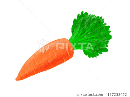 Watercolor carrot food illustration single material pet food Watercolor carrot food illustration single material pet food 137238452