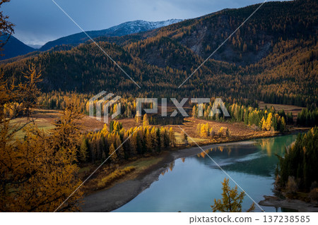 Autumn mountain lake landscape with golden larch forest and calm reflective water 137238585