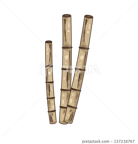 Illustration of wooden bamboo Illustration of wooden bamboo 137238767