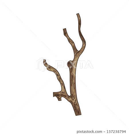 Illustration of branch 137238794