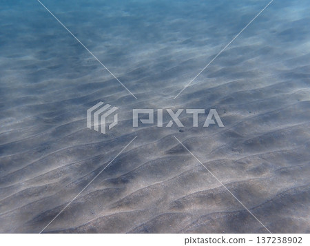 水下景觀 137238902