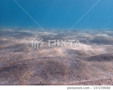 Sandy sea Sandy sea 137239080