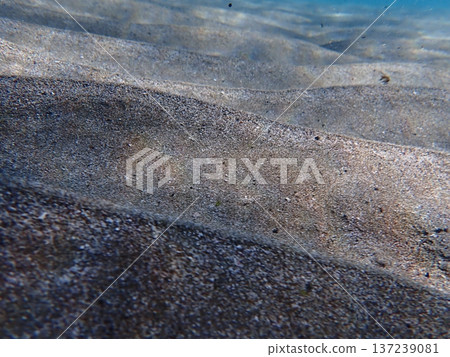Sand in the sea Sand in the sea 137239081