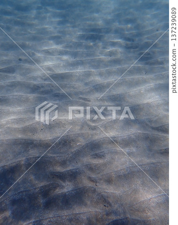 Underwater Light and Sand Underwater Light and Sand 137239089