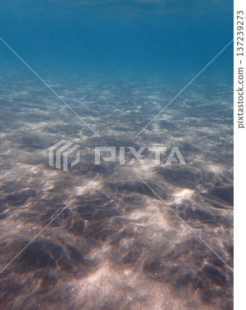 Advance into the blue world Advance into the blue world 137239273