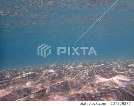 Sparkles on the surface and bottom of the water 137239275