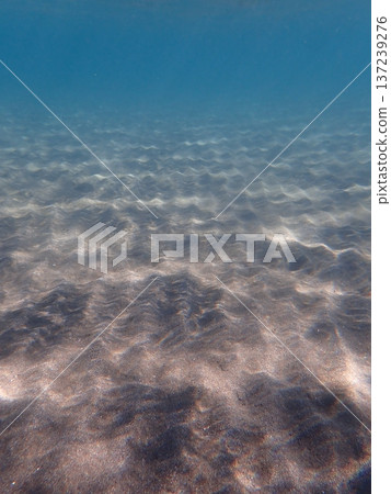 Underwater world Underwater world 137239276
