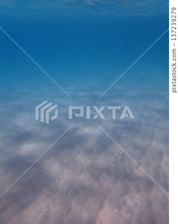 Blue and far away 137239279