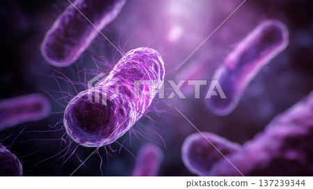 3D image of bacteria (bacilli) under a microscope | Infectious diseases, biotechnology, healthcare 137239344